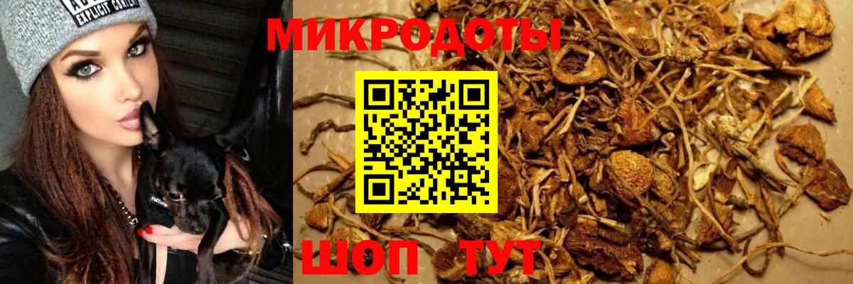 Обь  Галлюциногенные грибы мухоморы  Вход с VPN 