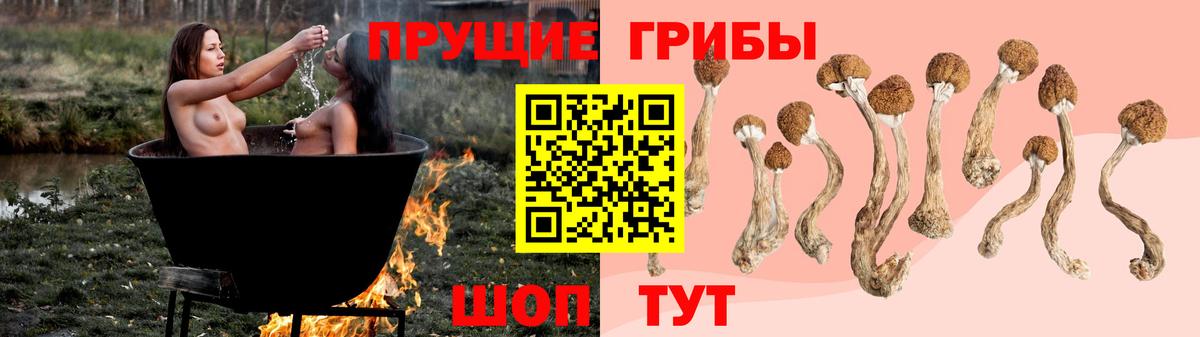 Галлюциногенные грибы мицелий Обь